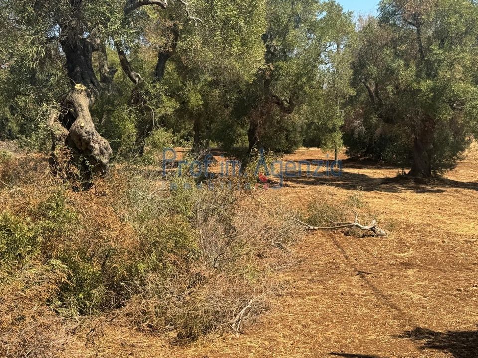 Helårsgrund i Carovigno, Brindisi - foto 1